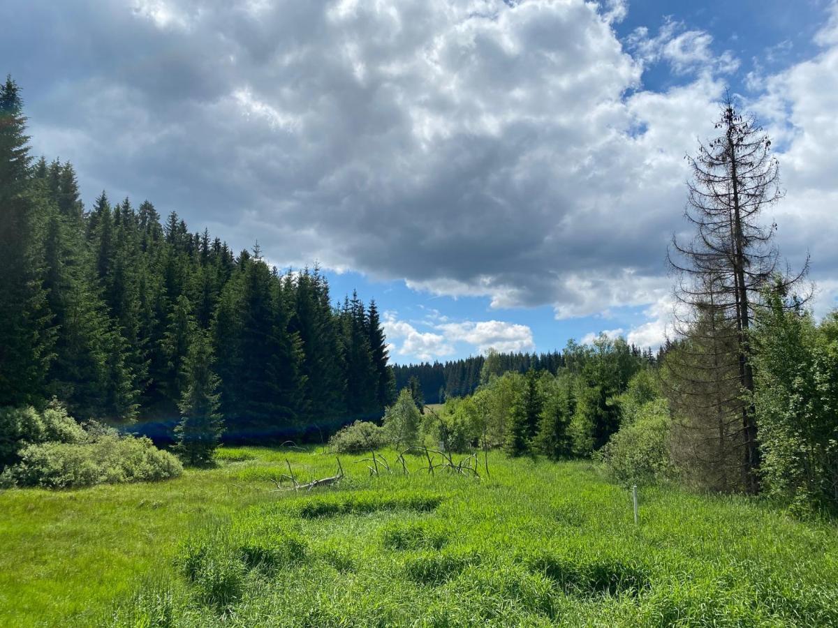 Wellness Hotel Florian Ceske Zleby Stozec Luaran gambar