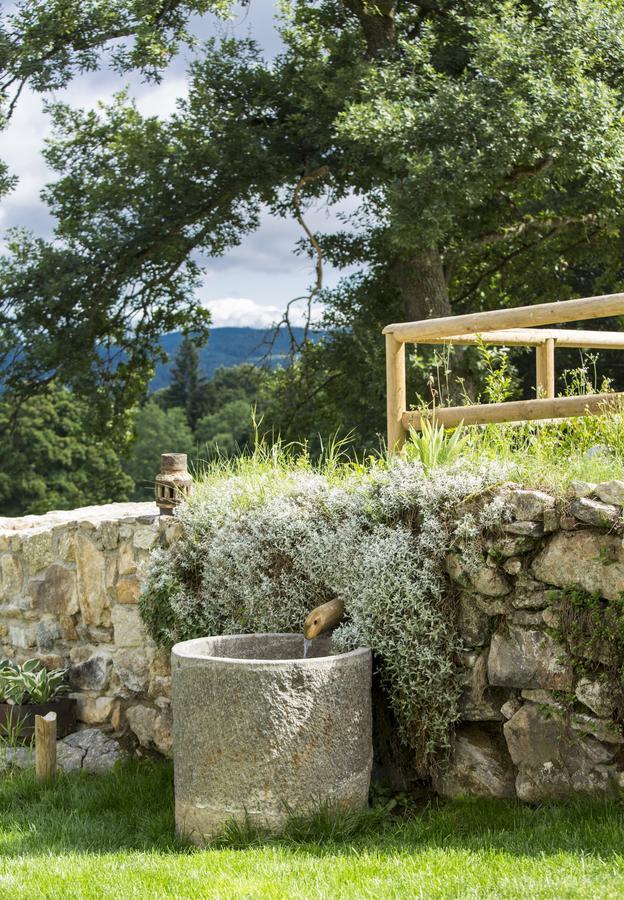 Wellness Hotel Florian Ceske Zleby Stozec Luaran gambar