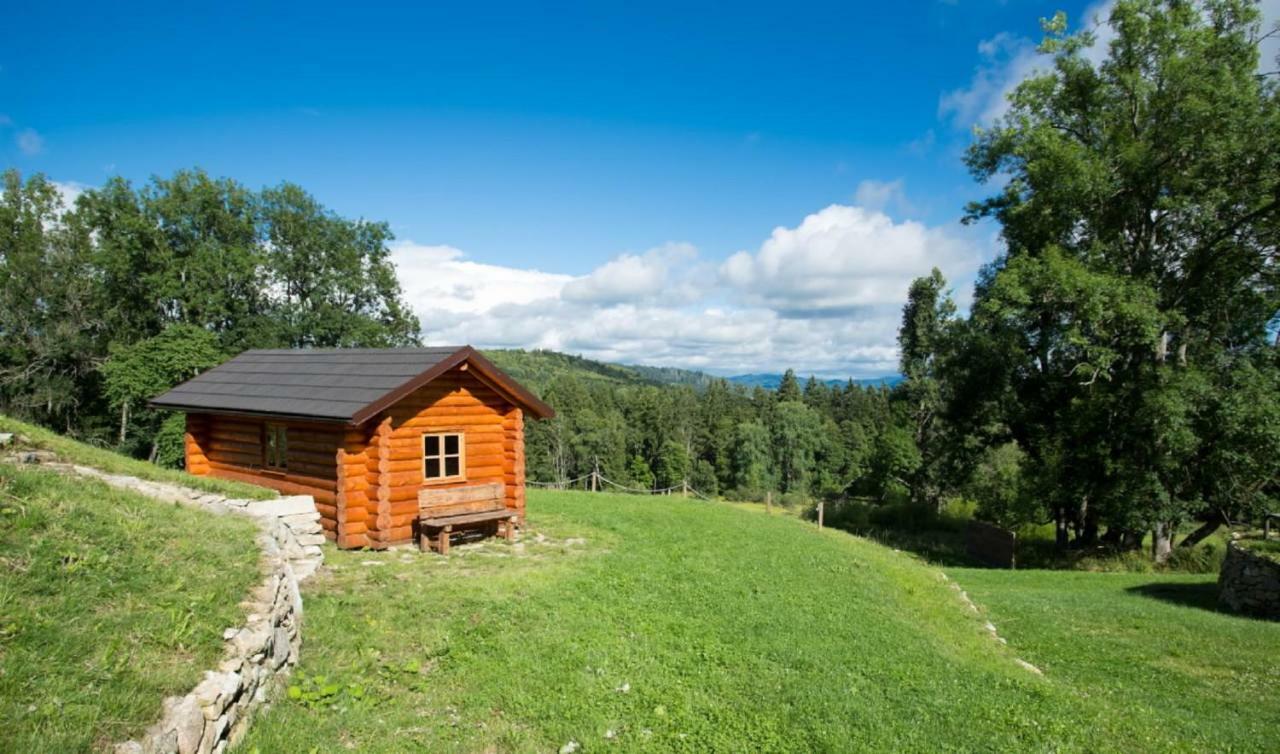 Wellness Hotel Florian Ceske Zleby Stozec Luaran gambar